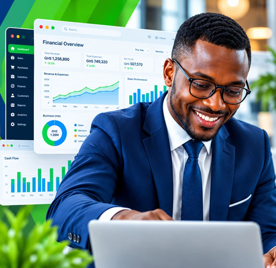 Business software consultant